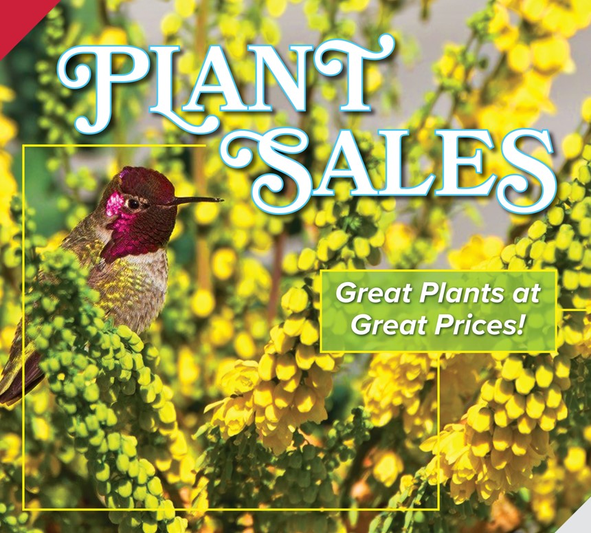 Plant Sales